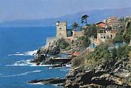 NERVI
