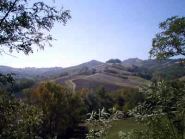 TORNOLO
