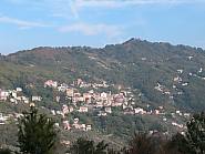 USCIO