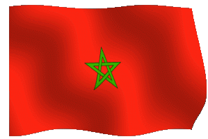 Risultati immagini per animated flag marocco